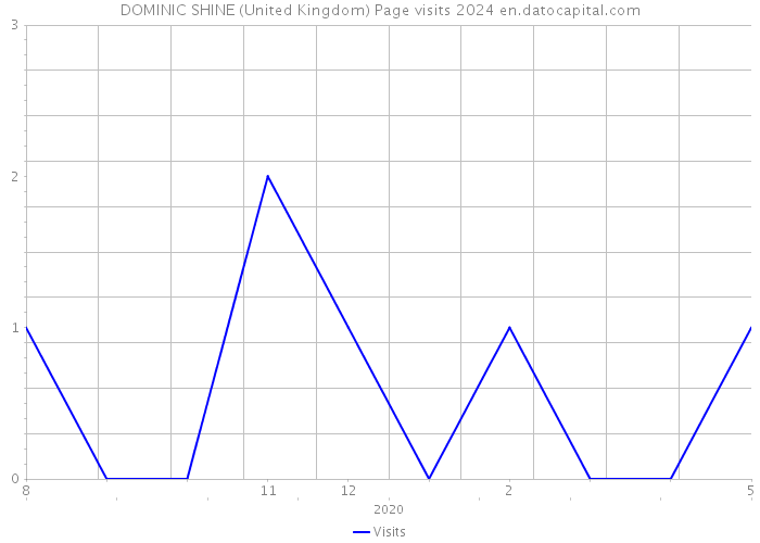 DOMINIC SHINE (United Kingdom) Page visits 2024 