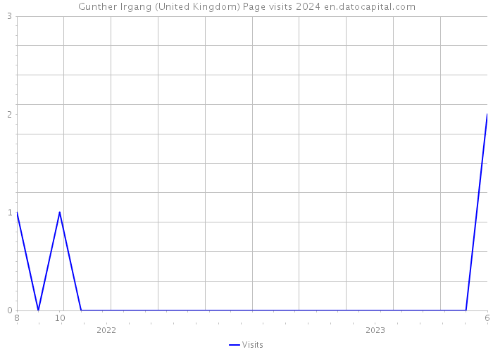 Gunther Irgang (United Kingdom) Page visits 2024 