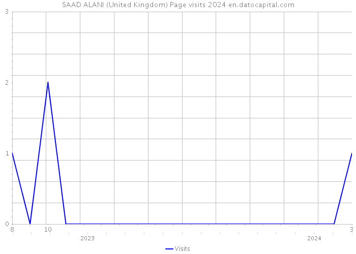 SAAD ALANI (United Kingdom) Page visits 2024 