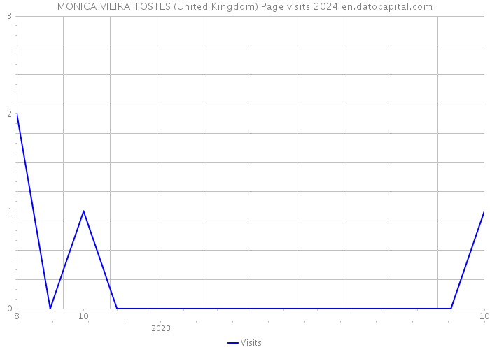 MONICA VIEIRA TOSTES (United Kingdom) Page visits 2024 