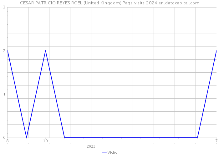 CESAR PATRICIO REYES ROEL (United Kingdom) Page visits 2024 