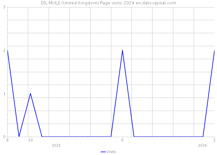 DIL MULJI (United Kingdom) Page visits 2024 