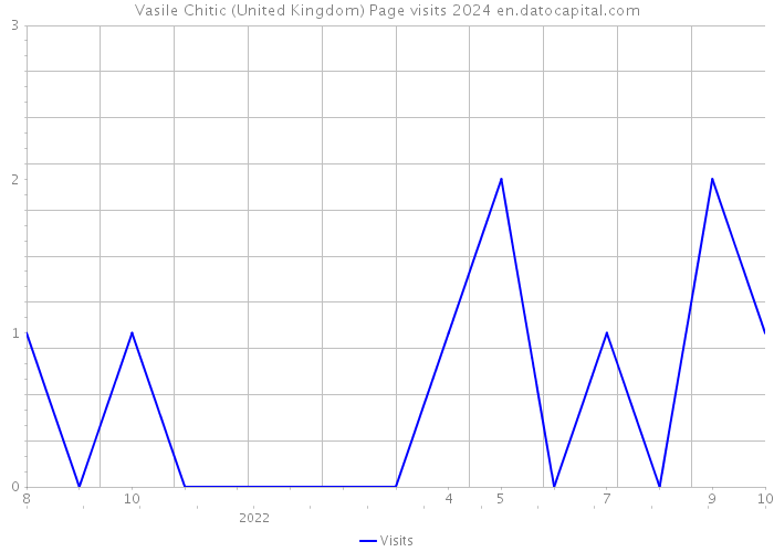 Vasile Chitic (United Kingdom) Page visits 2024 