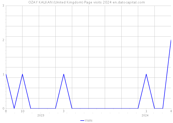 OZAY KALKAN (United Kingdom) Page visits 2024 