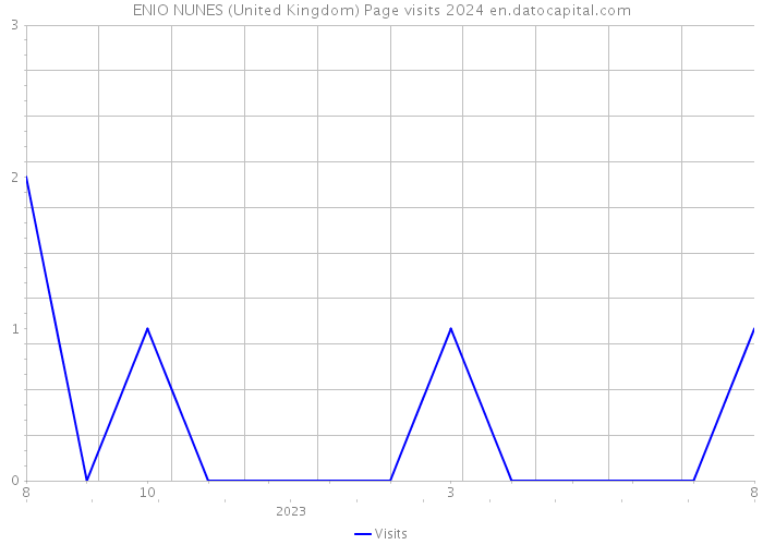 ENIO NUNES (United Kingdom) Page visits 2024 