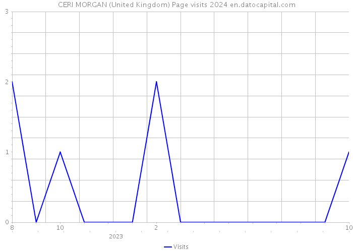 CERI MORGAN (United Kingdom) Page visits 2024 