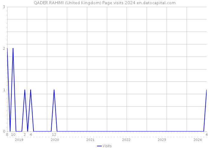 QADER RAHIMI (United Kingdom) Page visits 2024 