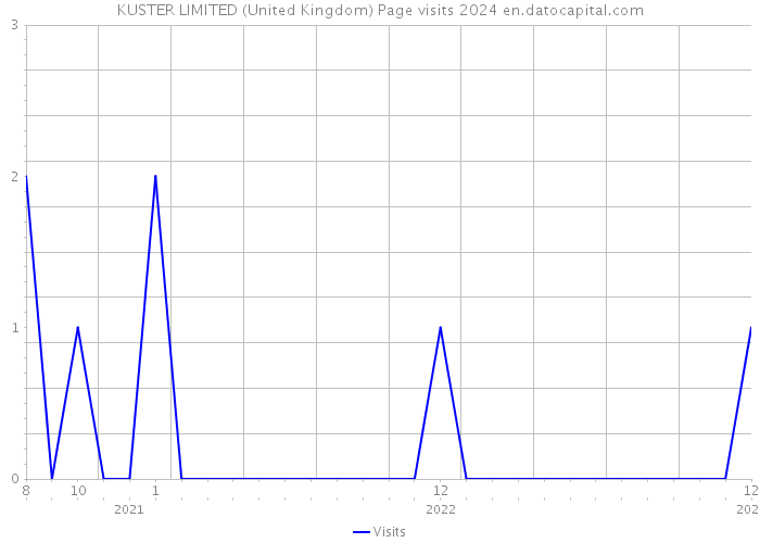 KUSTER LIMITED (United Kingdom) Page visits 2024 