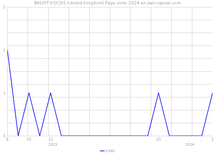 BALINT KOCSIS (United Kingdom) Page visits 2024 
