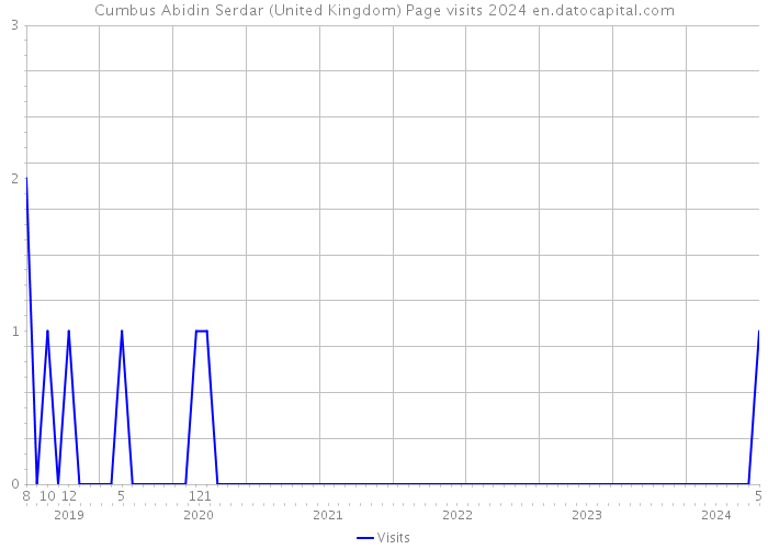 Cumbus Abidin Serdar (United Kingdom) Page visits 2024 