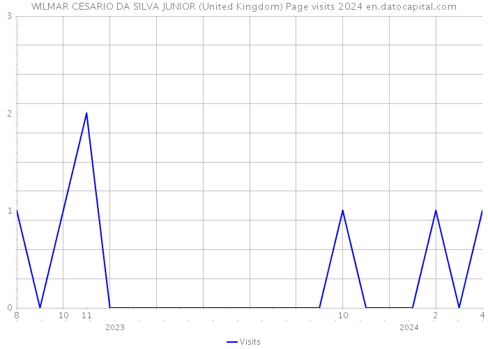 WILMAR CESARIO DA SILVA JUNIOR (United Kingdom) Page visits 2024 