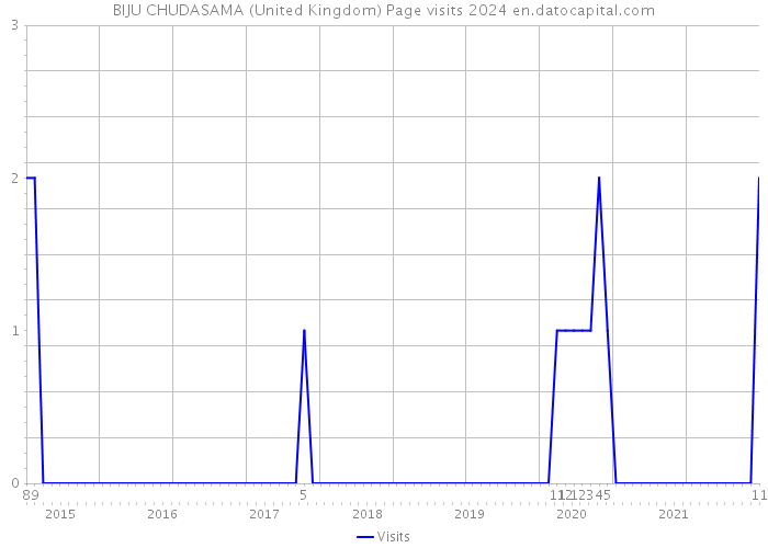 BIJU CHUDASAMA (United Kingdom) Page visits 2024 