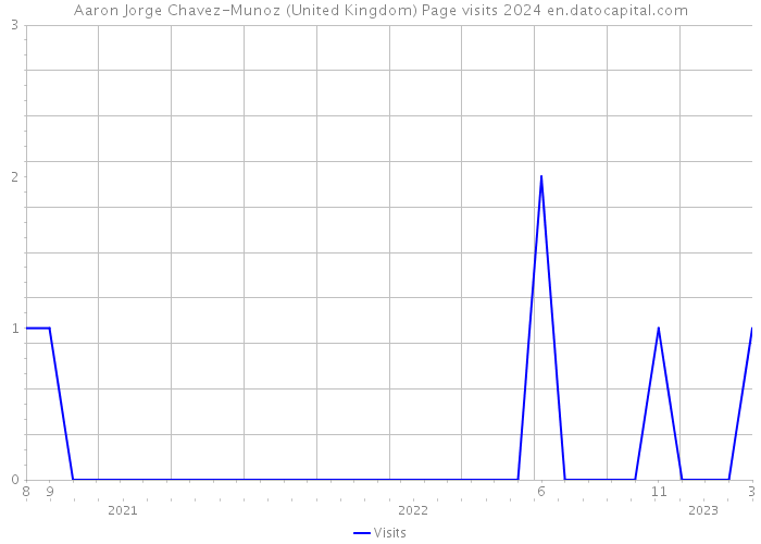 Aaron Jorge Chavez-Munoz (United Kingdom) Page visits 2024 