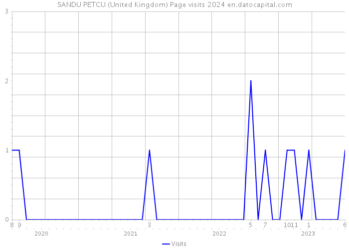 SANDU PETCU (United Kingdom) Page visits 2024 