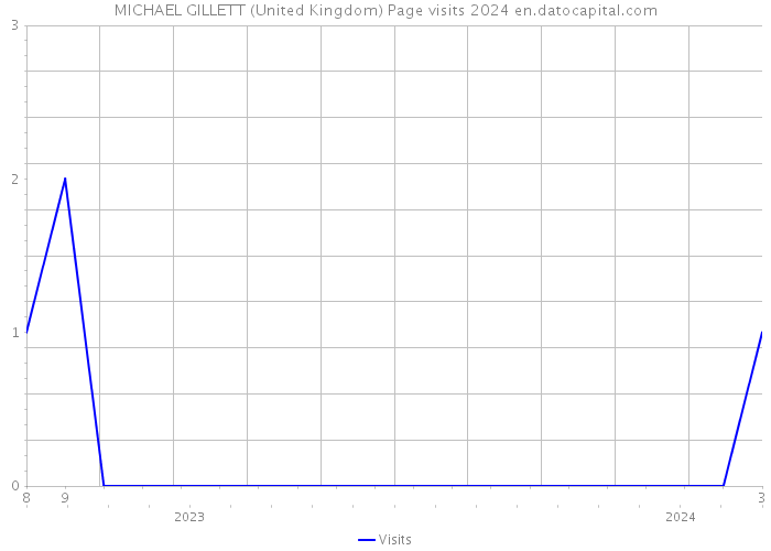 MICHAEL GILLETT (United Kingdom) Page visits 2024 