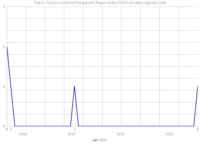 Fabio Curcio (United Kingdom) Page visits 2024 