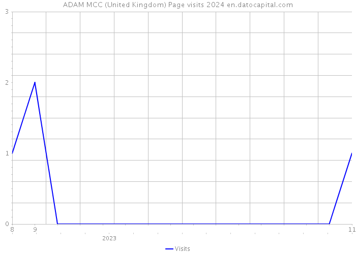 ADAM MCC (United Kingdom) Page visits 2024 
