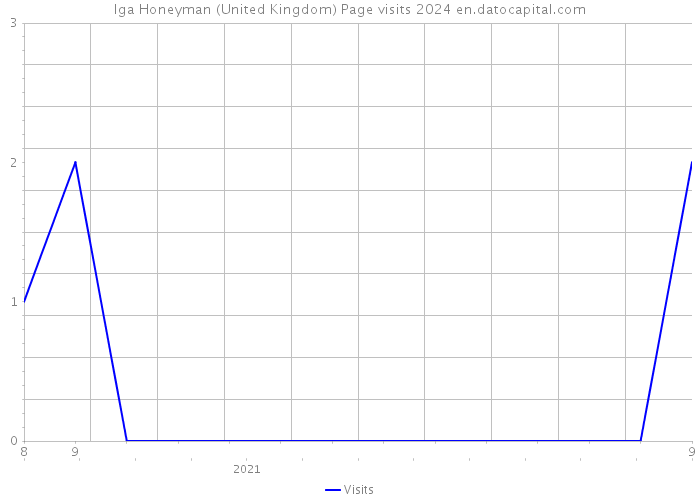 Iga Honeyman (United Kingdom) Page visits 2024 