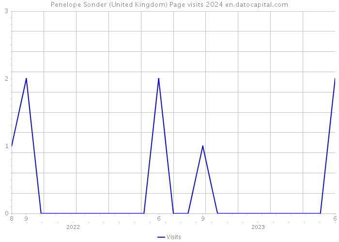Penelope Sonder (United Kingdom) Page visits 2024 