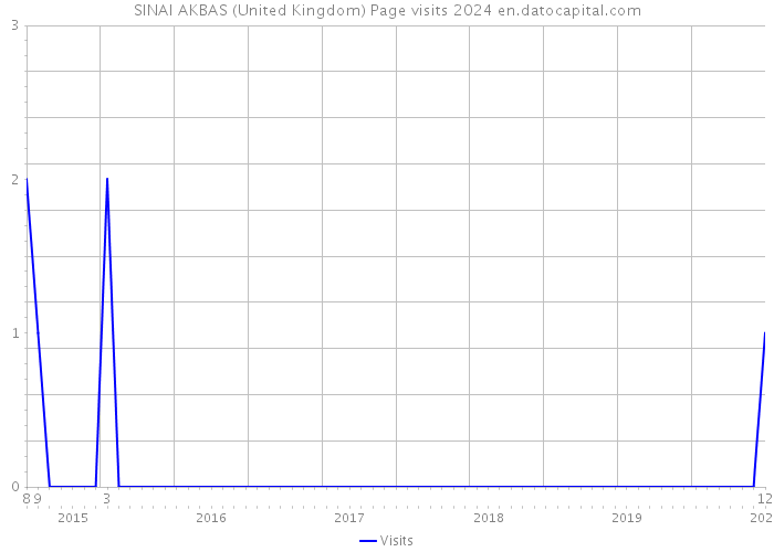 SINAI AKBAS (United Kingdom) Page visits 2024 