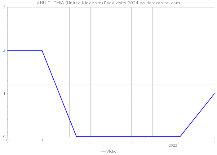 ANU DUDHIA (United Kingdom) Page visits 2024 