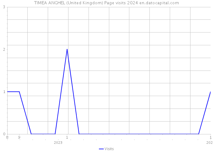 TIMEA ANGHEL (United Kingdom) Page visits 2024 