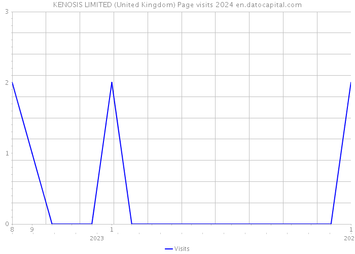 KENOSIS LIMITED (United Kingdom) Page visits 2024 
