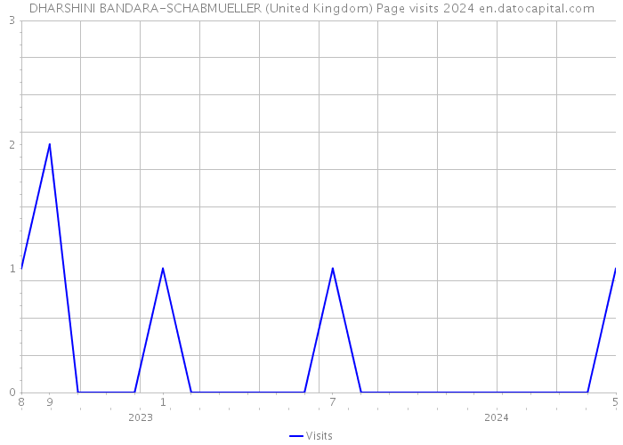 DHARSHINI BANDARA-SCHABMUELLER (United Kingdom) Page visits 2024 