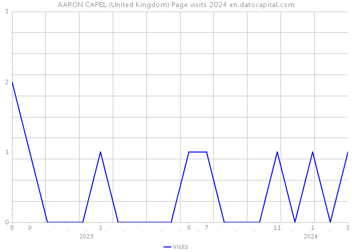 AARON CAPEL (United Kingdom) Page visits 2024 