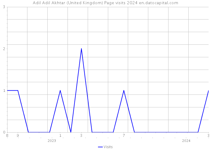 Adil Adil Akhtar (United Kingdom) Page visits 2024 