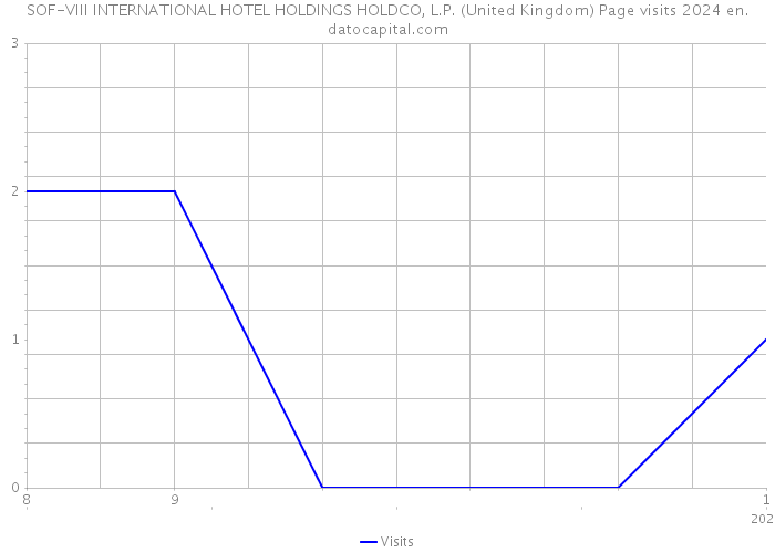 SOF-VIII INTERNATIONAL HOTEL HOLDINGS HOLDCO, L.P. (United Kingdom) Page visits 2024 