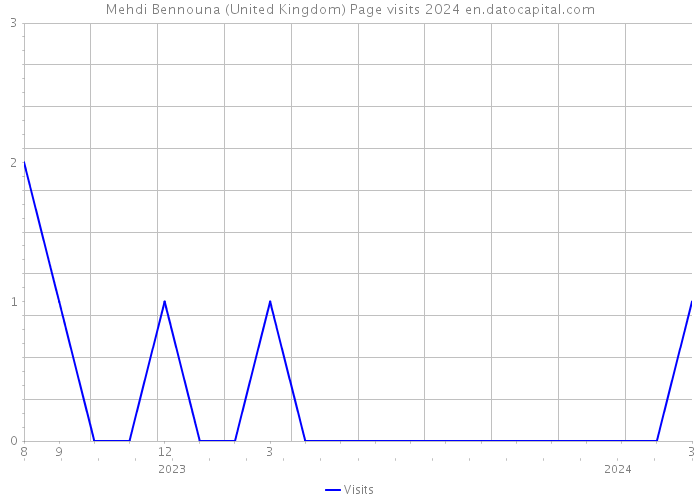 Mehdi Bennouna (United Kingdom) Page visits 2024 