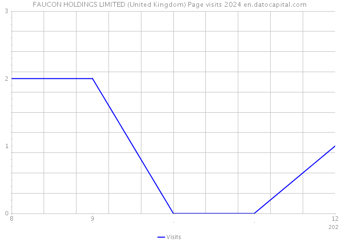 FAUCON HOLDINGS LIMITED (United Kingdom) Page visits 2024 