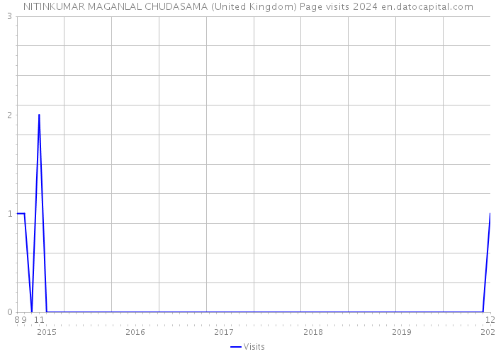NITINKUMAR MAGANLAL CHUDASAMA (United Kingdom) Page visits 2024 