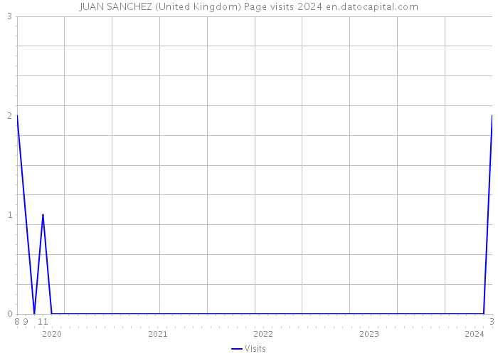 JUAN SANCHEZ (United Kingdom) Page visits 2024 