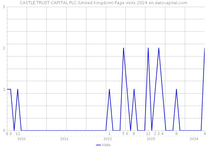 CASTLE TRUST CAPITAL PLC (United Kingdom) Page visits 2024 