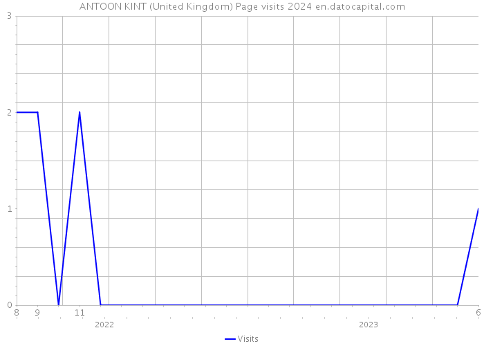ANTOON KINT (United Kingdom) Page visits 2024 