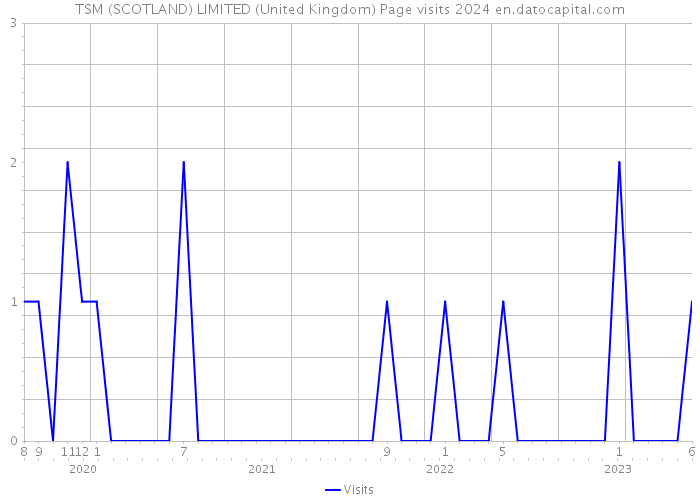 TSM (SCOTLAND) LIMITED (United Kingdom) Page visits 2024 