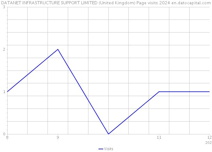 DATANET INFRASTRUCTURE SUPPORT LIMITED (United Kingdom) Page visits 2024 