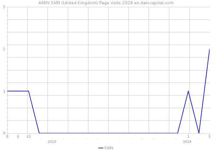 AMIN YARI (United Kingdom) Page visits 2024 