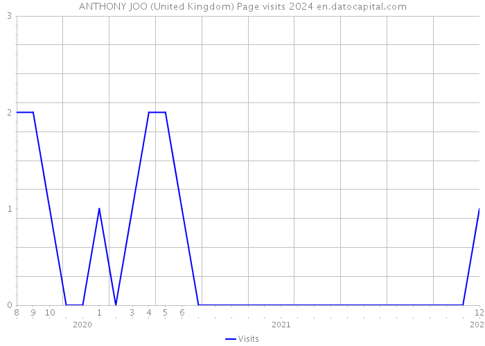 ANTHONY JOO (United Kingdom) Page visits 2024 