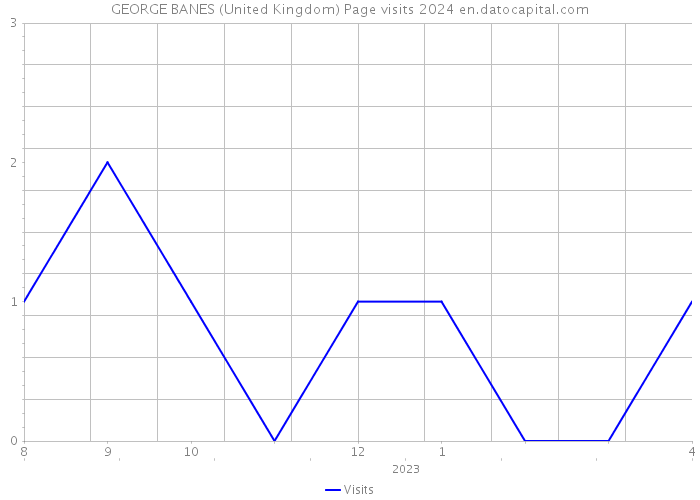 GEORGE BANES (United Kingdom) Page visits 2024 