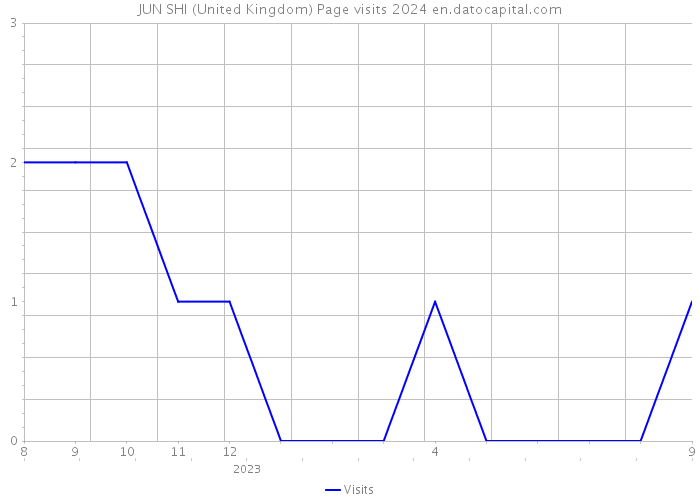 JUN SHI (United Kingdom) Page visits 2024 