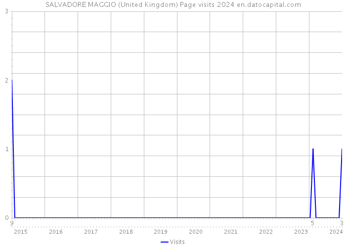 SALVADORE MAGGIO (United Kingdom) Page visits 2024 