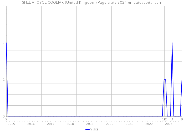 SHELIA JOYCE GOOLJAR (United Kingdom) Page visits 2024 