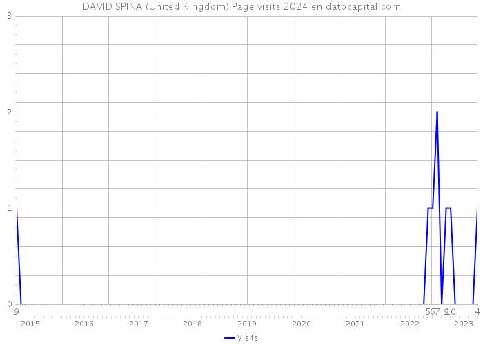 DAVID SPINA (United Kingdom) Page visits 2024 