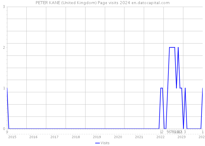 PETER KANE (United Kingdom) Page visits 2024 