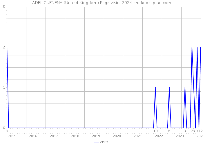 ADEL GUENENA (United Kingdom) Page visits 2024 