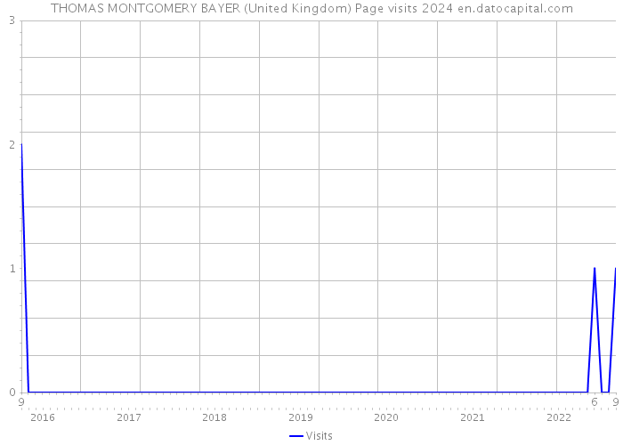 THOMAS MONTGOMERY BAYER (United Kingdom) Page visits 2024 
