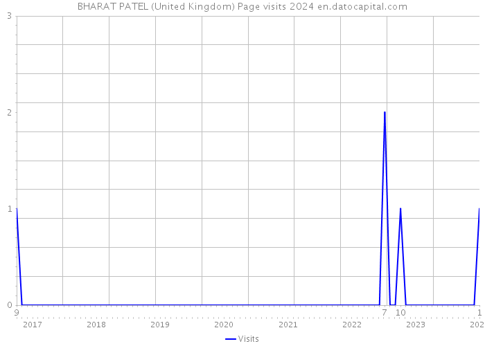 BHARAT PATEL (United Kingdom) Page visits 2024 